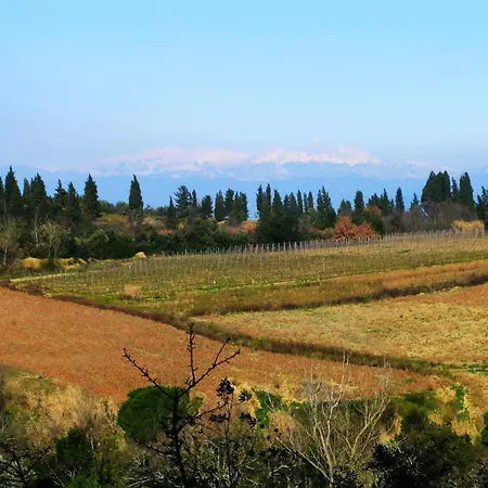 Apartment Brunello In Martignana