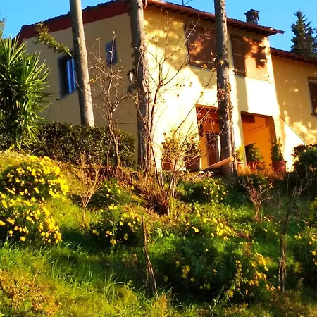 Brunello In Martignana Apartment *